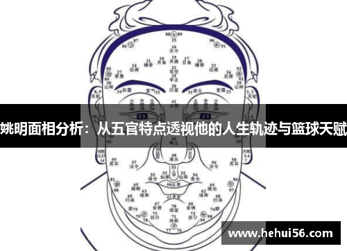 姚明面相分析：从五官特点透视他的人生轨迹与篮球天赋